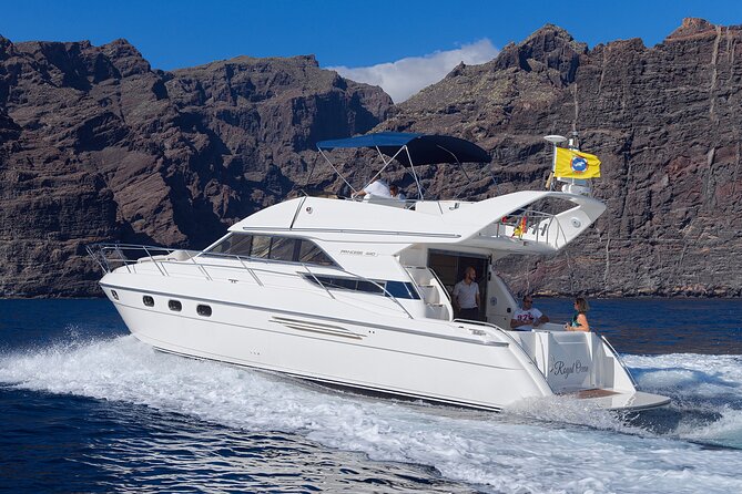 Private Boat Tour on Royal Ocean Yacht, Tenerife - Is the $900 Group Price Worth It?