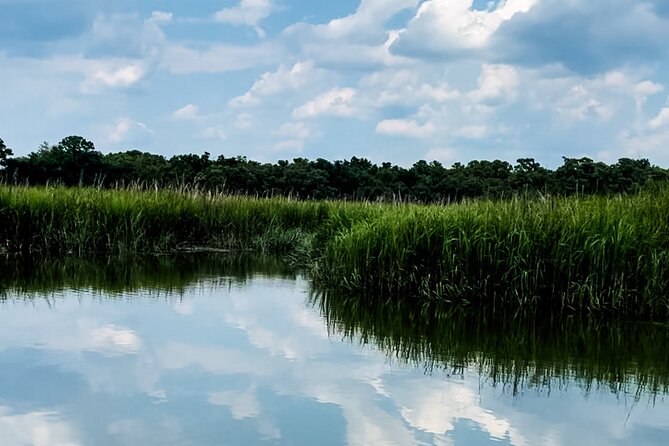 Private Captained Luxury Electric Boat Charter in Savannah - What the Two-Hour Route Can Include