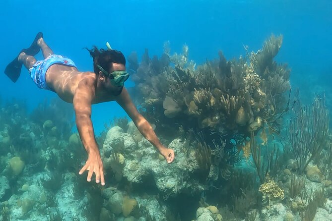 Private Catamaran Charter on Elusive - Paddleboards and the clear double kayak