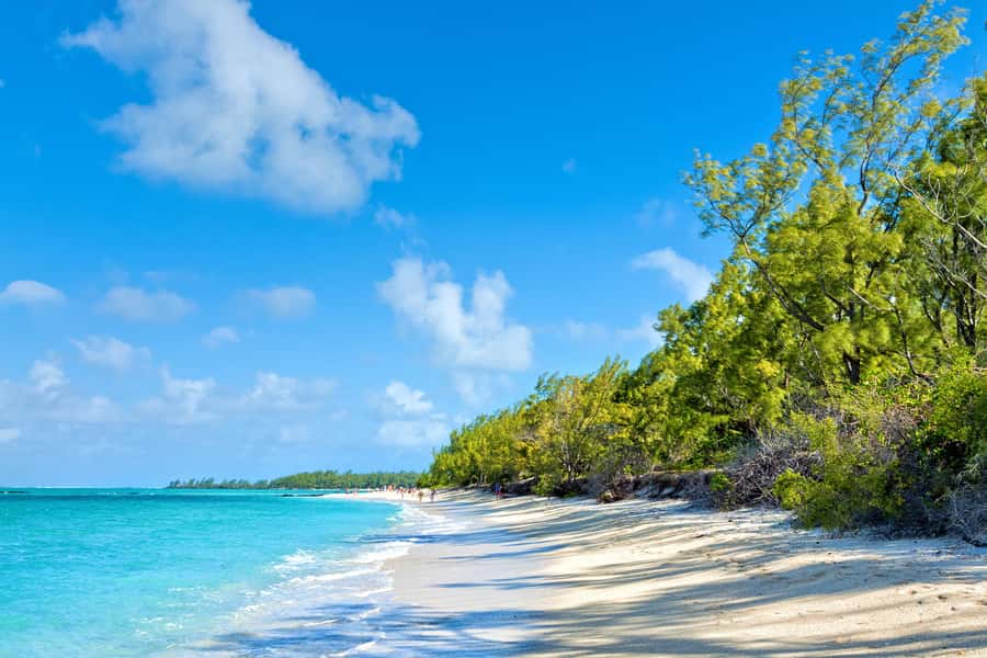 Private Catamaran Charter to Ile aux Cerfs - Watching for dolphins in their natural habitat