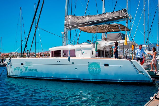 Private Charter On Our Luxury Catamaran - Why the whale and dolphin search is the star
