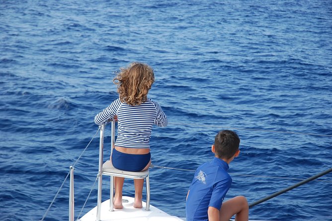 Private Charter On Our Luxury Catamaran - Sailing aboard the Papillon de Tenerife