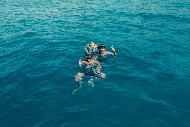 Private Charter: Yacht Rental in Tenerife (Adeje) - Two hours of whale watching off Tenerife’s southwest coast