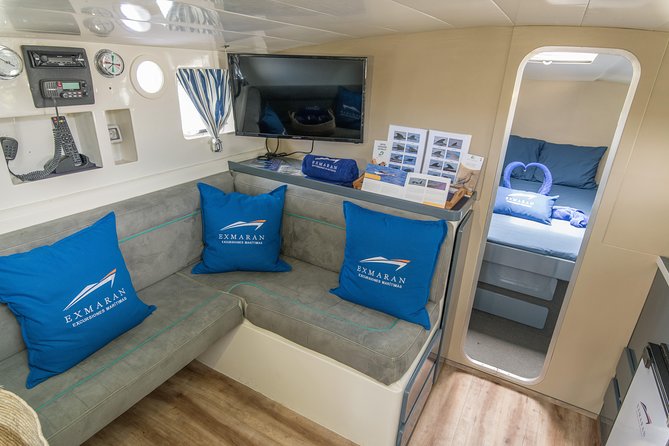 Private Charter: Yacht Rental in Tenerife (Adeje) - Weather, wildlife, and realistic expectations