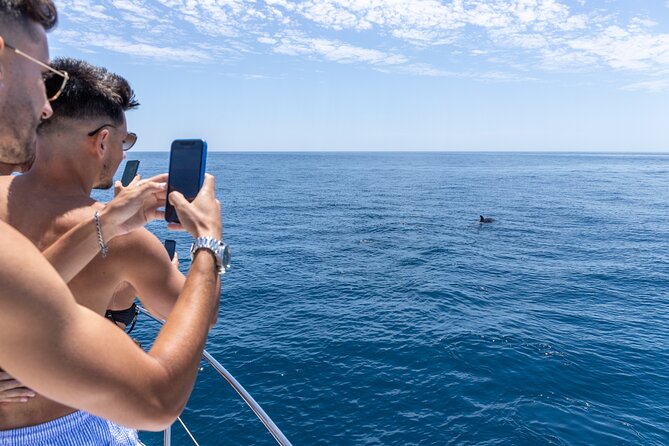 Private Coastline and Dolphins Yacht Cruise from Albufeira - Benagil Cave from the Water