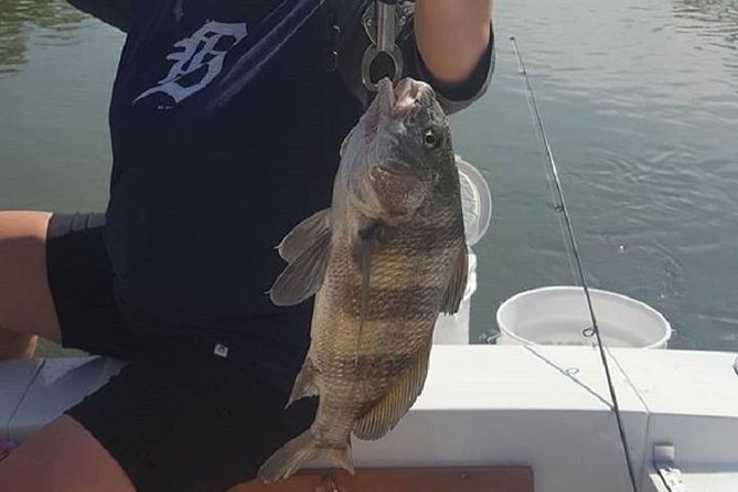 Private Fishing Boat Charters in Naples Bay and the Gulf - What is included for $487