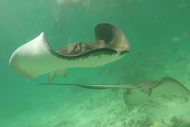Private Fishing Tour in Yacht Playa del Carmen - Timing, meeting point, and practical planning