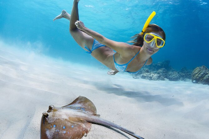 Private Full Day BVI Boat Charter Aboard MV Aquarius - What the price really includes