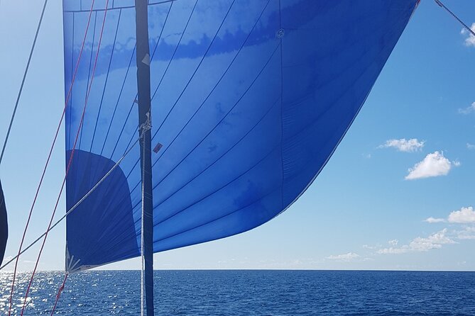 Private Full-Day Catamaran Sailing Charter in St Maarten - An open bar that runs all day