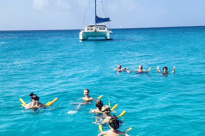 Private Full-Day Luxury Sailing Catamaran Charter in Sint Maarten - A charcoal BBQ served after swimming
