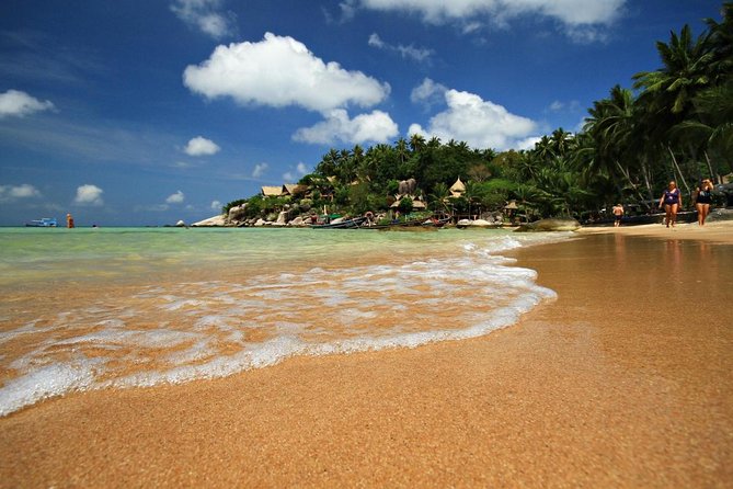 Private Full-Day Red Dragon Yacht for Snorkeling Koh Tan & Visit Pink Dolphin - The Red Dragon at a glance