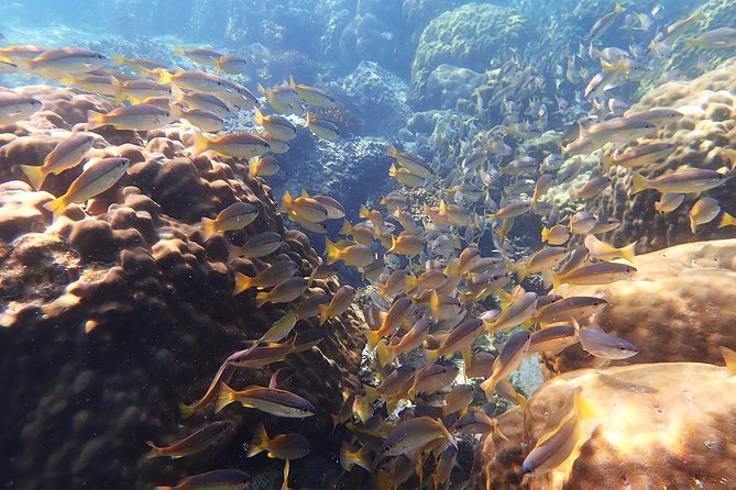 Private Full-Day Red Dragon Yacht to Angthong National Marine Park - Ko Wao Yai for snorkeling beyond the park