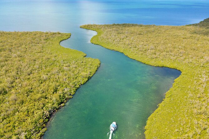 Private, Guided Boat Charters in The Cayman Islands - Stingray City with time to slow down