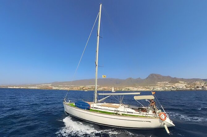 Private Luxury Boat Excursion Tour in Puerto Colon - Key points to know before you book
