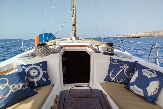 Private Luxury Boat Excursion Tour in Puerto Colon - Searching for dolphins and pilot whales