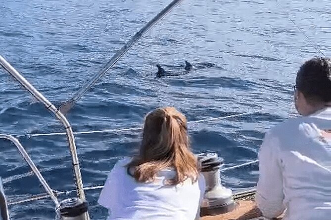 Private Luxury Boat Excursion Tour in Puerto Colon - Food, unlimited drinks, and the social atmosphere