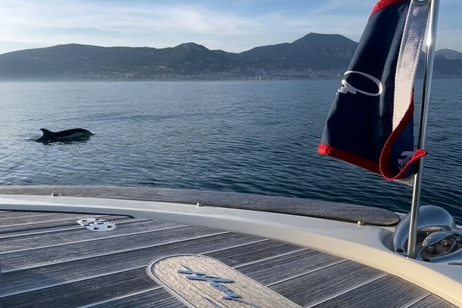 Private Luxury Boat Tour of the Beautiful Riviera Nice / Monaco - Is $600.70 per person good value?
