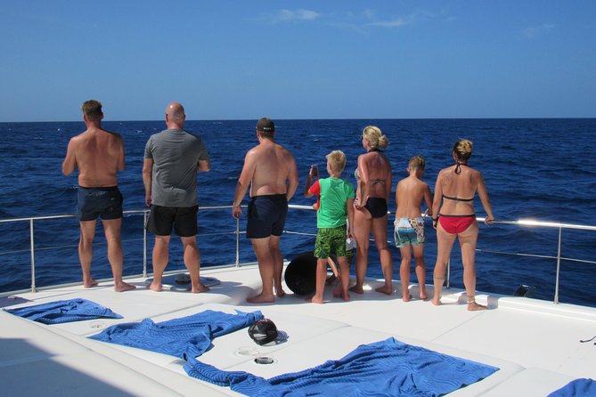 Private Luxury Catamaran Cruise in St. Lucia - Price and the value for your group