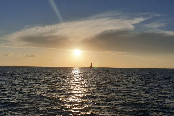 Private Luxury Catamaran - Saona or Catalina island - How the $1,990 price makes sense