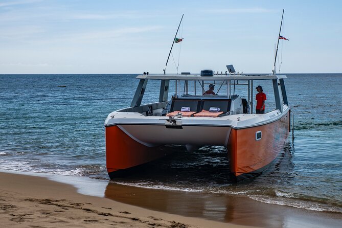 Private Luxury Full day Boat Charter With Lunch - Snorkeling comes before lunch, or whenever the crew finds the right moment
