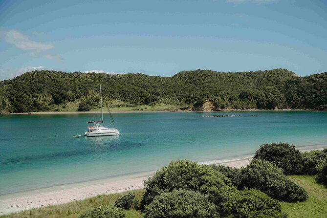 Private Luxury Sailing Catamaran Charter in the Bay of Islands - Wildlife sightings around the bay