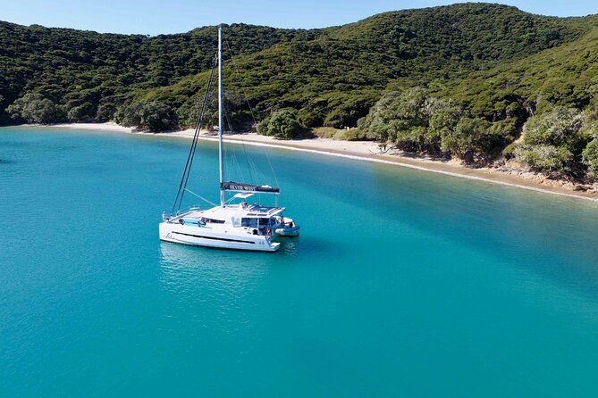 Private Luxury Sailing Catamaran Charter in the Bay of Islands - Comfort for a group of up to 20