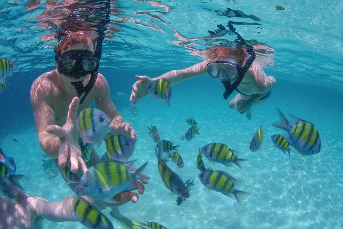 Private Luxury Sailing Cruise in Los Cabos with Lunch and Open Bar - Swimming, snorkeling, and paddleboarding