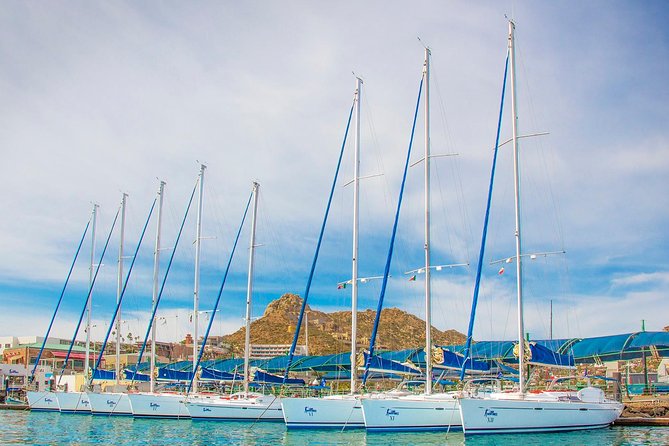 Private Luxury Sailing Cruise in Los Cabos with Lunch and Open Bar - Who will enjoy this cruise most