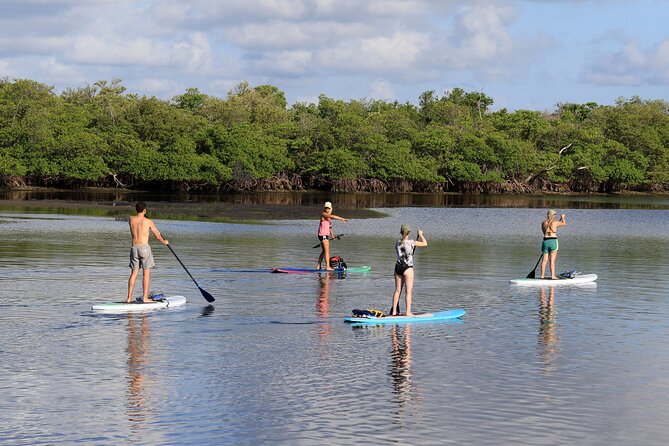 Private PADDLE-BOARD and YACHT Adventure - The Value of $2,295 for a Private Group