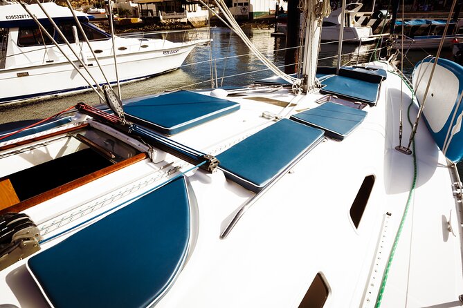 Private Sailboat tour in Cabo San Lucas with Papillon Yachts - Is $800 good value for six people?