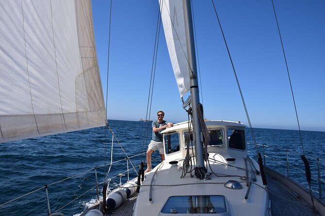 Private Sailing Charter in Porto - Setting out from Douro Marina in Afurada