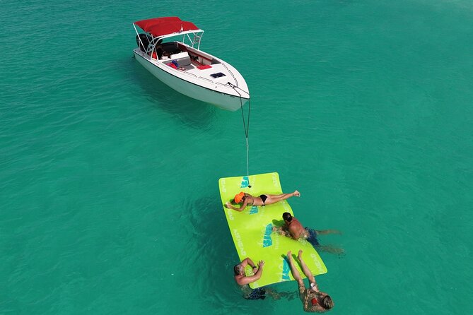 Private Speed Boat Charter in St Maarten & Nature Reserve - Tintamarre offers a chance at sea turtles