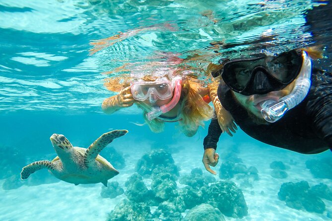 Private Speed Boat Charter in St Maarten & Nature Reserve - Pinel Island combines water time and lunch