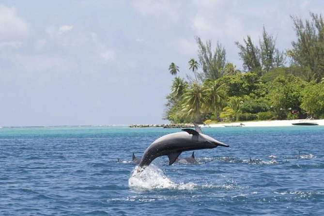 Private Speed Boat Charter with Experienced Captain - Why a private Destin boat day works so well