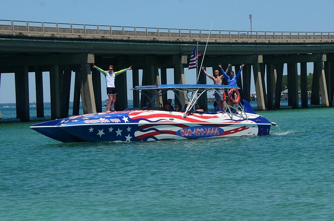 Private Speed Boat Charter with Experienced Captain - Dolphins, baby dolphins, and possible sharks