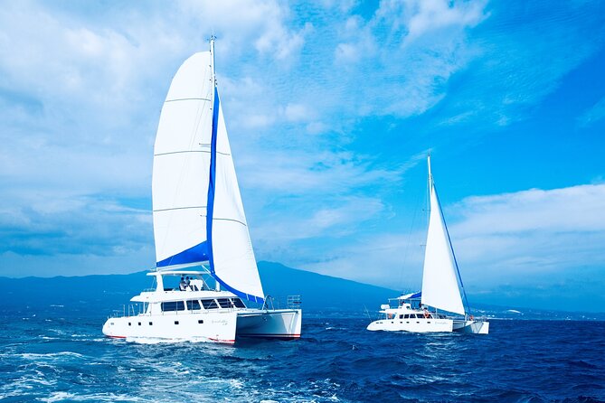 Private Tour in South Jeju including Yacht Cruise - Key points to know before booking