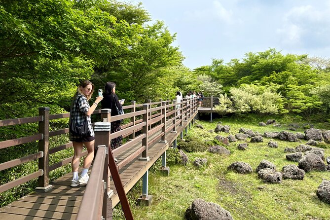 Private Tour in South Jeju including Yacht Cruise - Cheonjiyeon Falls and its shaded paths
