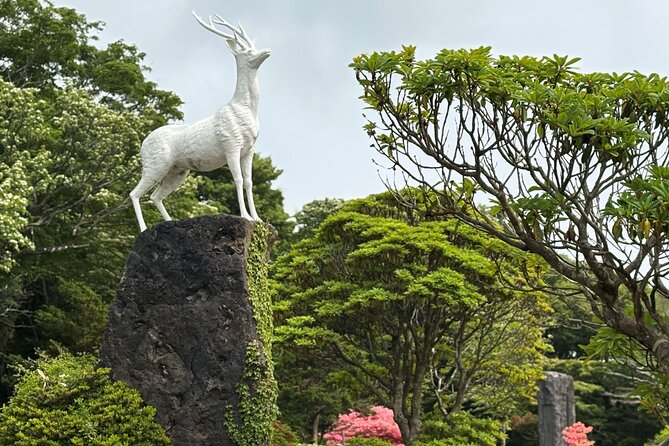 Private Tour in South Jeju including Yacht Cruise - Is $215 a fair price?