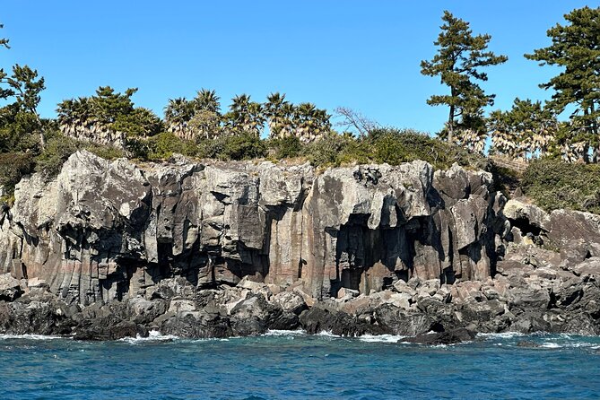 Private Tour in South Jeju including Yacht Cruise - 1100 Altitude Wetland: a quiet start on Hallasan