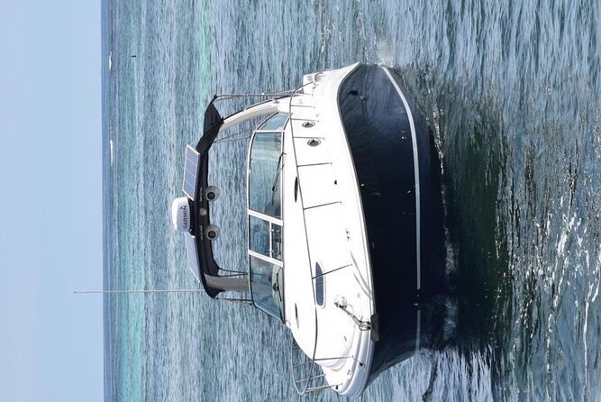Private VIP Yacht in Punta Cana - Dolphin viewing near Playa Bibijagua