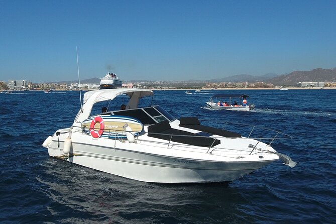Private Whale Watching on Luxury Yacht in Cabo San Lucas - Drinks, food, and what you should expect
