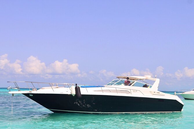 Private Yacht 46ft Sea Ray Snorkel up to 15 pax 23P2 - What you actually get for $260