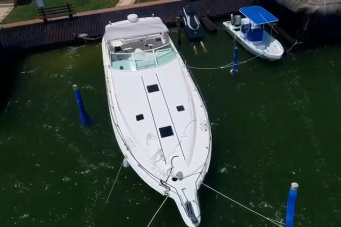 Private Yacht 46ft Sea Ray Snorkel up to 15 pax 23P2 - Crew service, music, and the party atmosphere