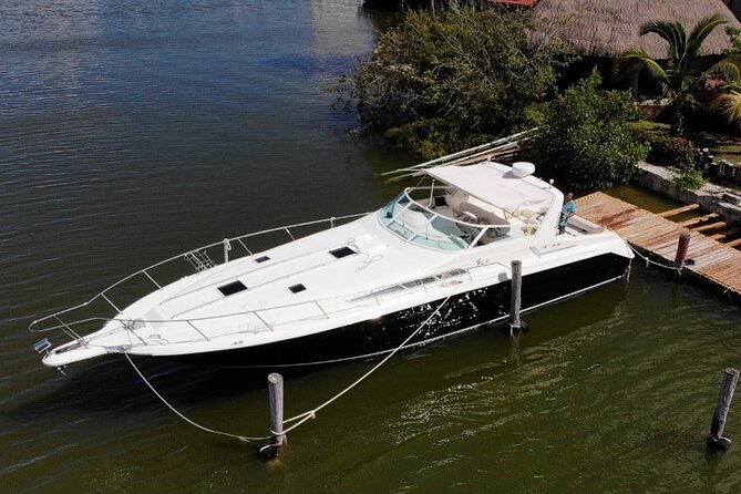 Private Yacht 46ft Sea Ray Snorkel up to 15 pax 23P2 - Weather, boat changes, and cancellation protection