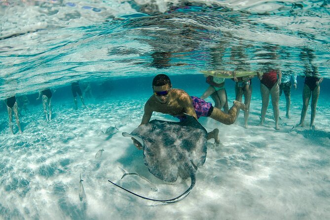 Private Yacht 48 ft Sting Ray City, Snorkel & Starfish Beach - What is included, and what you should clarify