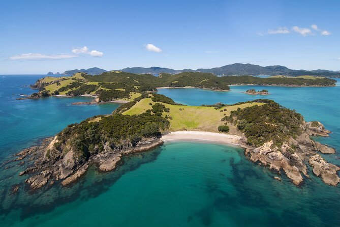 Private Yacht Charter and Island Excursions in the Bay of Islands - Predator-free islands and marked walking trails