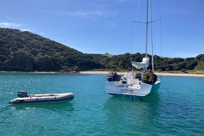 Private Yacht Charter and Island Excursions in the Bay of Islands - How the private format changes the value