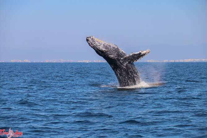Private Yacht Charter on ChicaFun 1 Waterslides all inclusive - Yelapa for a full beach break