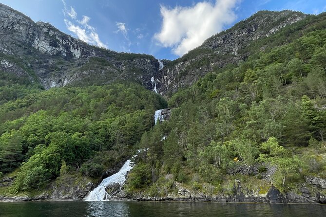Private yacht Cruise in Flåm and Gudvangen, Nærøyfjord - Drinks, snacks, and lunch planning