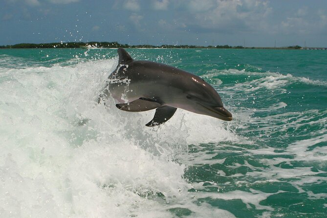 Private Yacht Cruise to Dolphin House with Lunch : Hurghada - Safety and equipment for the water